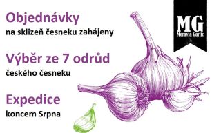 Předobjednávky zahájeny!!! V nabídce aktuálně máme následující odrůdy: Ruský paličák, Dukát, Bjetin, Vekan, Bělský rusák,...